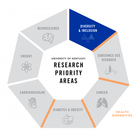 graphic of research priority areas with Diversity and Inclusion highlighted