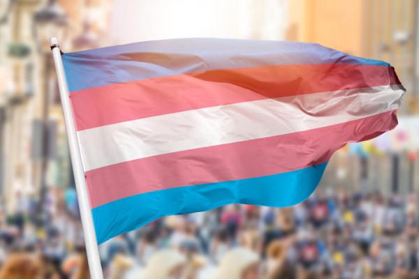 transgender flag with light blue and light pink stripes on it 