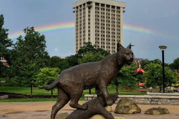 Bowman wildcat statue with a rainbow in the background sky